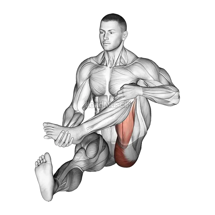 Sitting Foot To Chest Buttocks Stretch demonstration