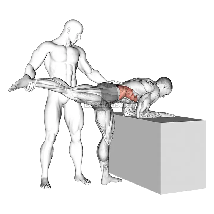 Assisted One Leg Extension demonstration