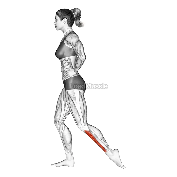 Standing Toe Extensor Stretch demonstration