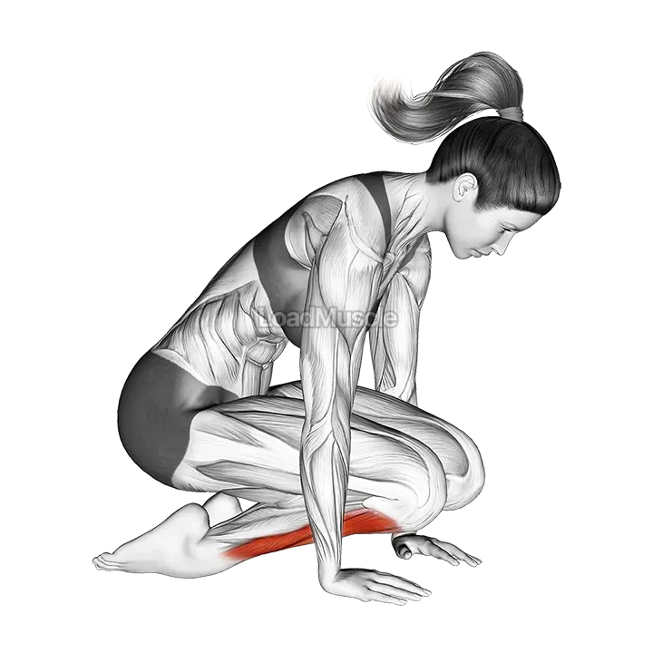Double Kneeling Shin Stretch demonstration