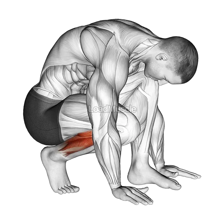 Squatting Toe Stretch demonstration