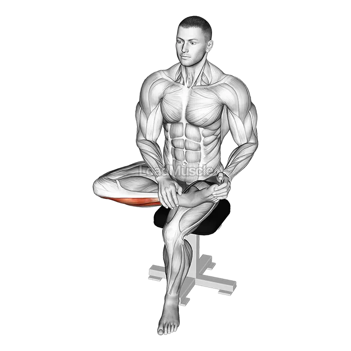 Seated Toe Extensor Stretch demonstration