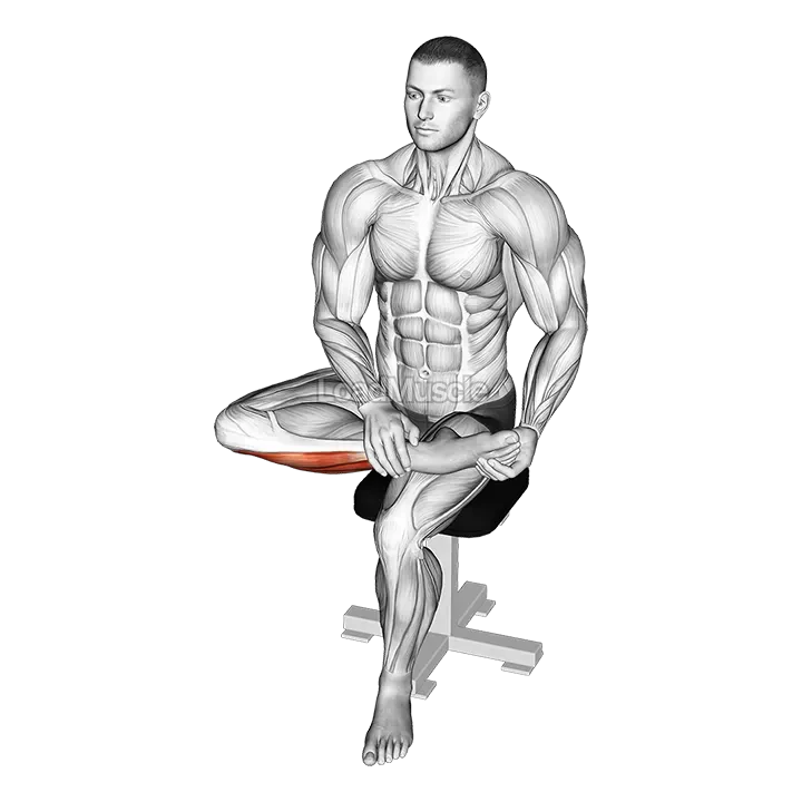 Seated Toe Extensor And Foot Everter Stretch demonstration