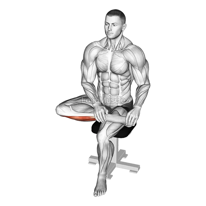 Seated Toe Extensor And Foot inverter stretch demonstration