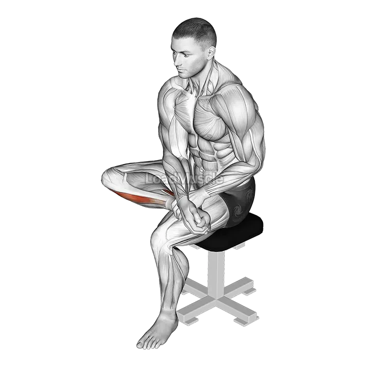 Seated Toe Flexor And Foot Everter Stretch demonstration