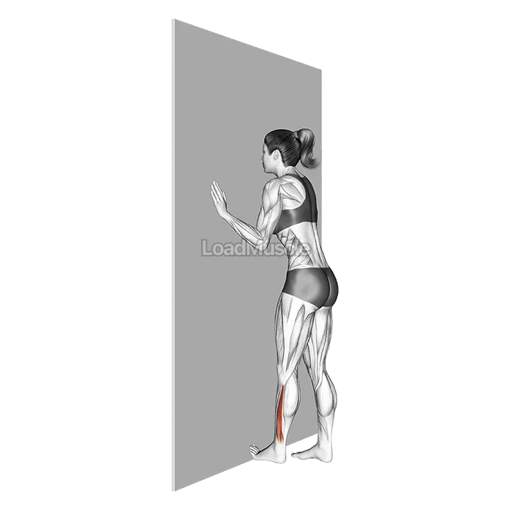 Standing Toe Flexor Stretch demonstration