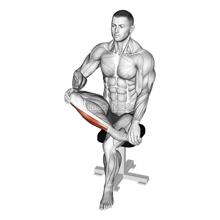 Mobilization Of Ankle Stretch demonstration