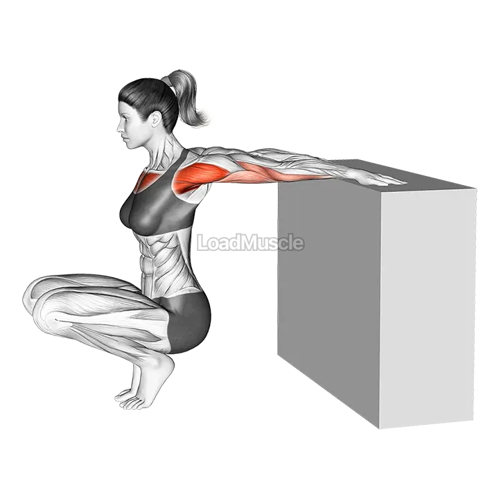 Reverse Shoulder Stretch demonstration