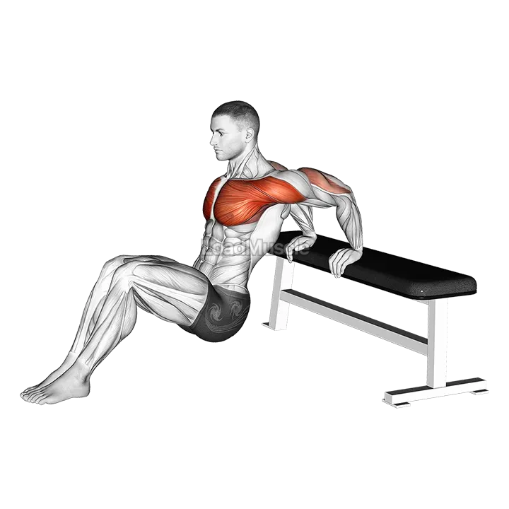 Sitting Shoulders Stretch On Bench demonstration