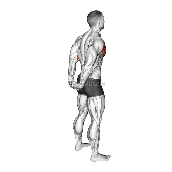 Standing Reverse Shoulder Stretch demonstration