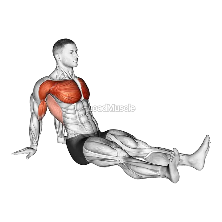 Seated Shoulder Flexor Depresor Retractor Stretch demonstration