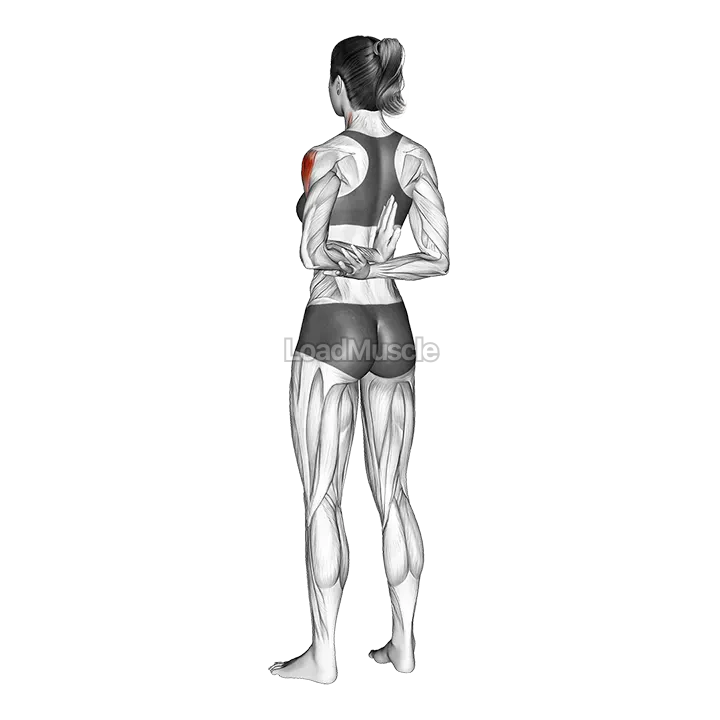 One Arm Shoulder Flexor Stretch demonstration