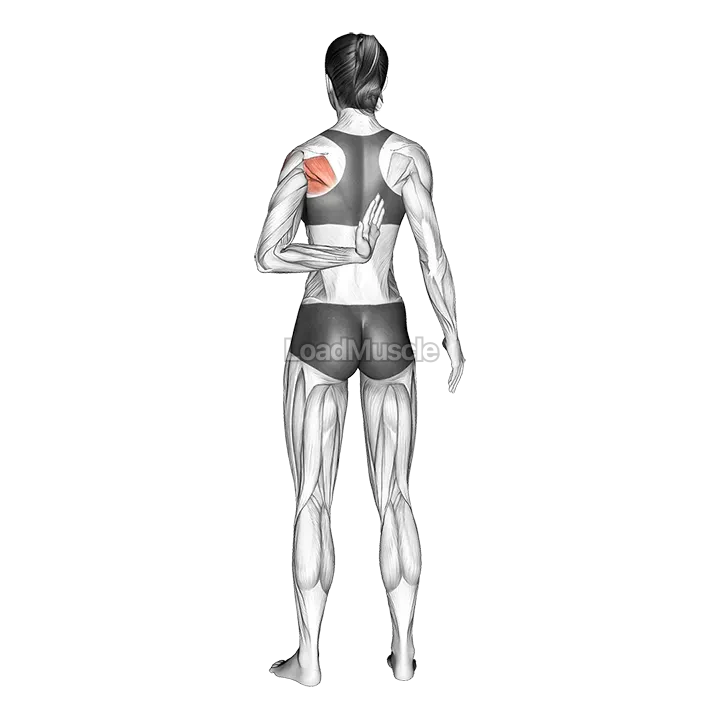 Reaching Up Shoulder Stretch demonstration