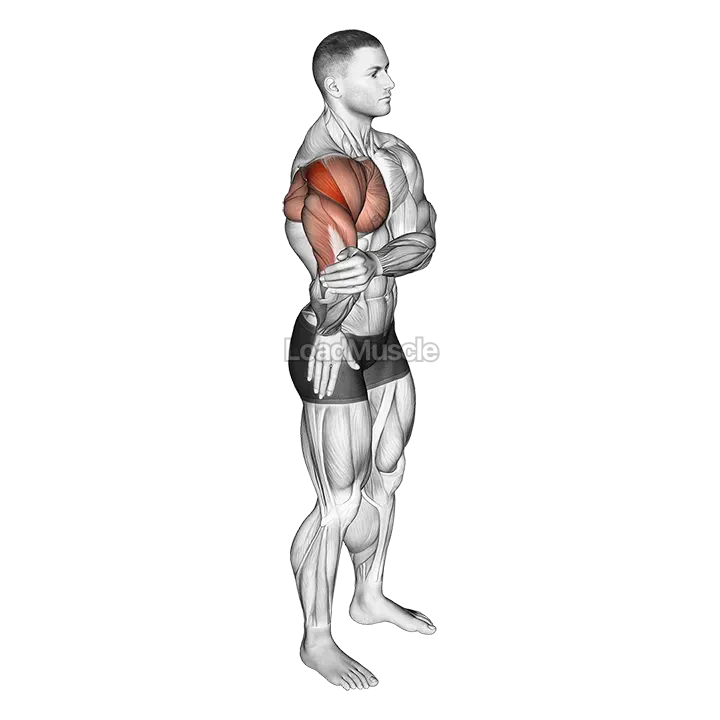 Elbow Out Rotator Stretch demonstration