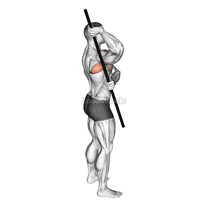 Arm Up Rotator Stretch demonstration