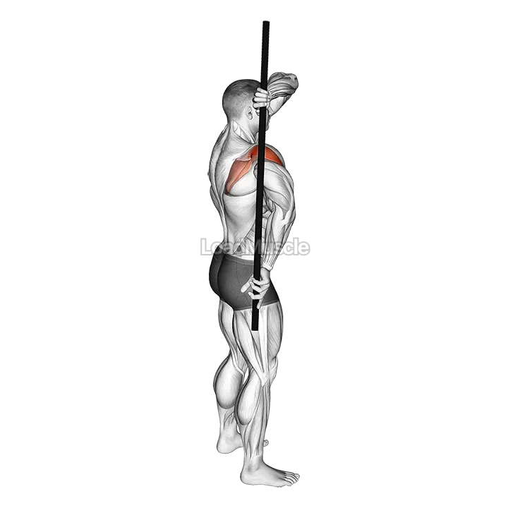 Arm Down Rotator Stretch demonstration