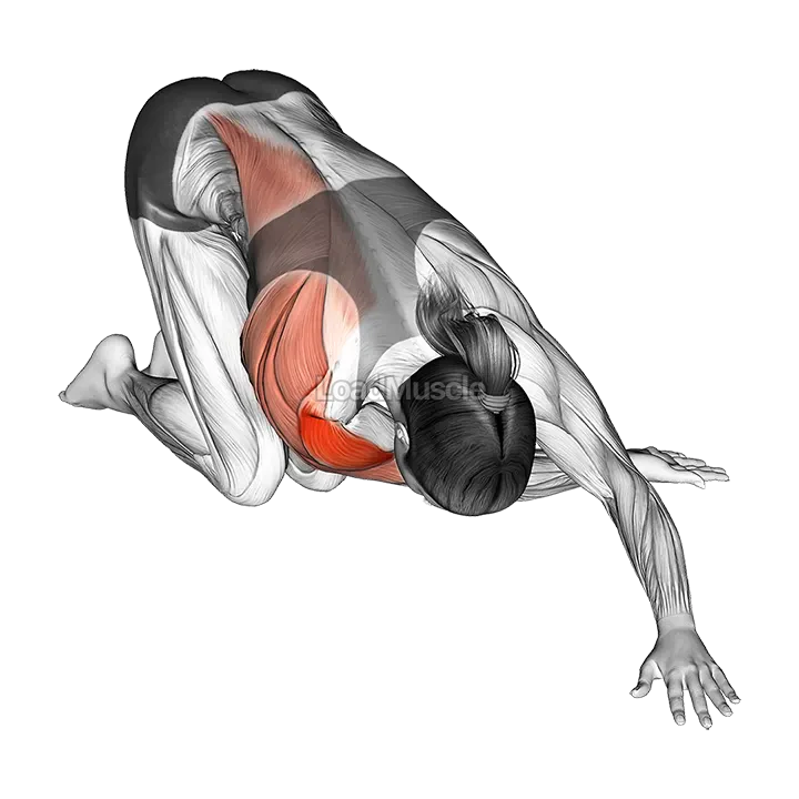 Kneeling One Arm Cross Body Stretch demonstration