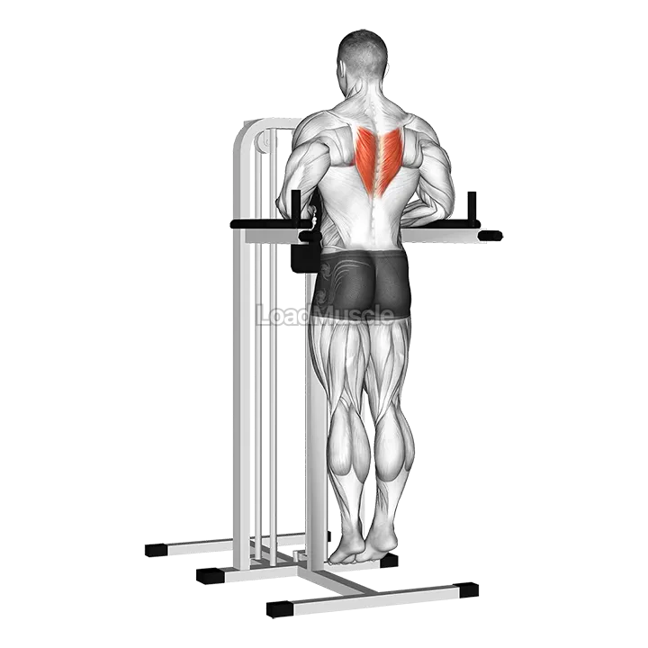 Depression In Parallel Bars Stretch demonstration