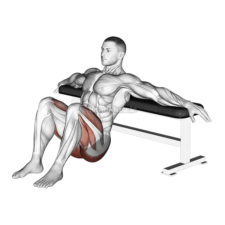 Hip Thrusts demonstration