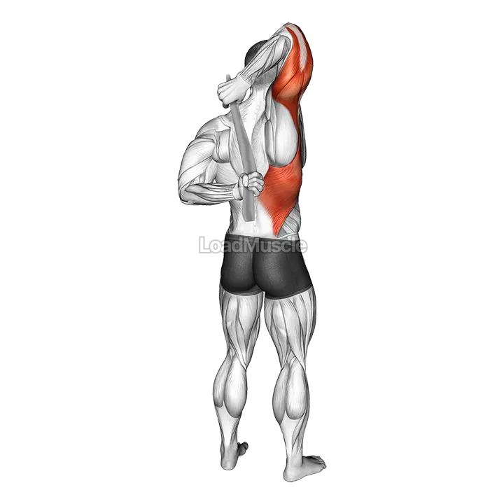 Shoulder Stretch With Towel Behind The Back demonstration