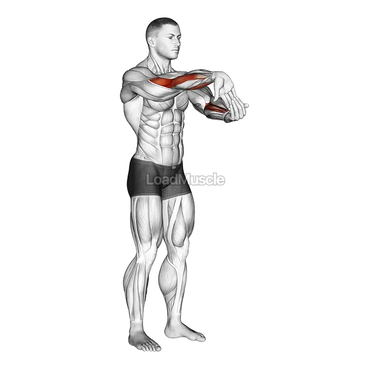 Fingers Down Forearm Stretch demonstration