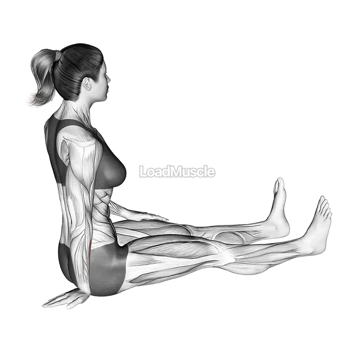 Seated Wrist Ulnar Deviator And Flexor Stretch demonstration