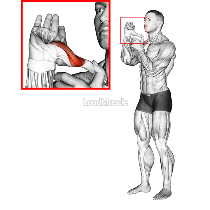 Thumb Stretch demonstration