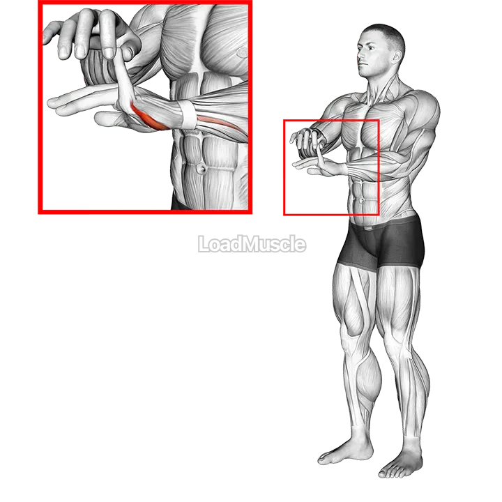 Finger Extension Stretch demonstration