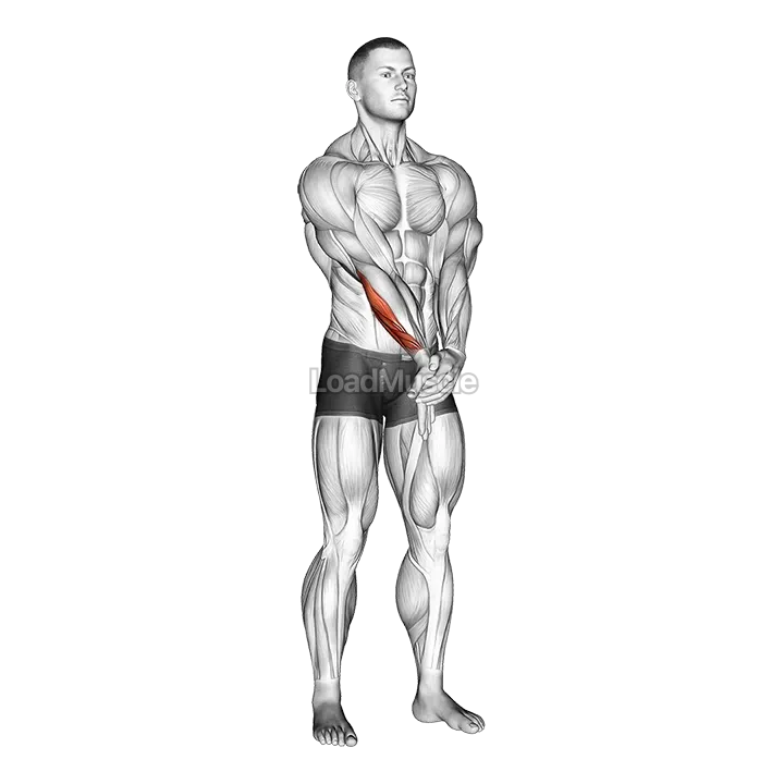 Adduction Hand With Elbow Extended Stretch demonstration