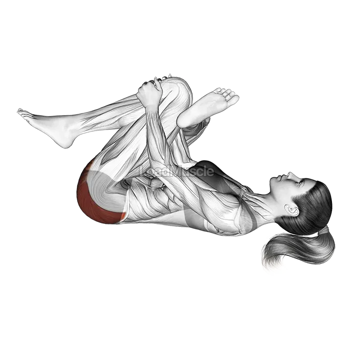 Recumbent Hip External Rotator And Hip Extensor Stretch (Crossed Leg) demonstration