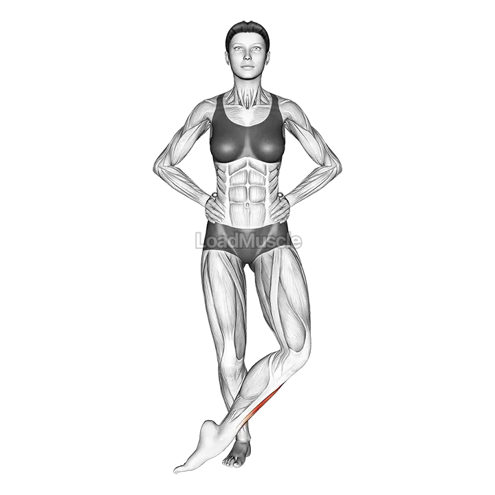 Front Cross Over Shin Stretch demonstration