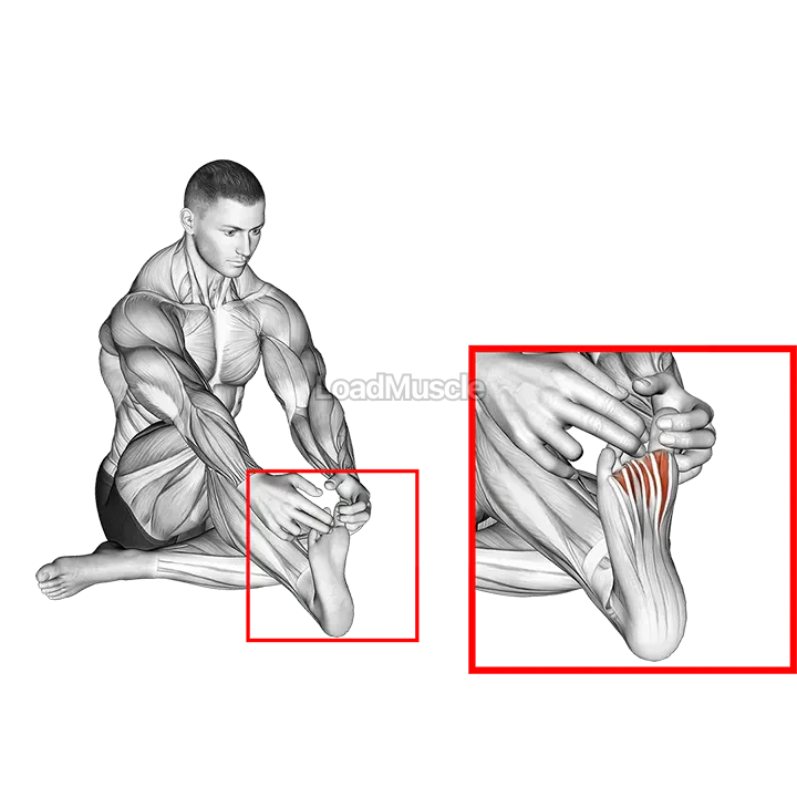Separation Between Fingers Stretch demonstration
