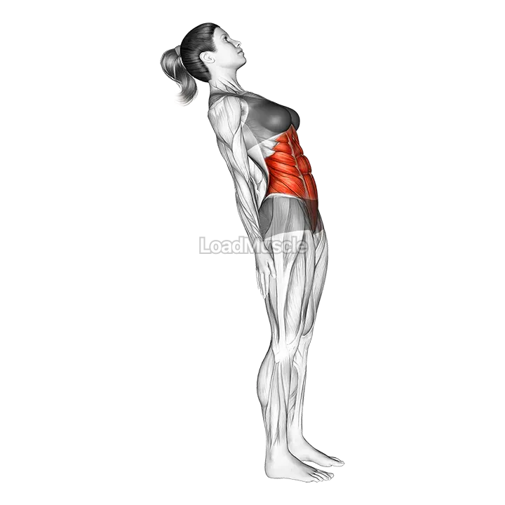 Standing Lean Back Stomach Stretch demonstration