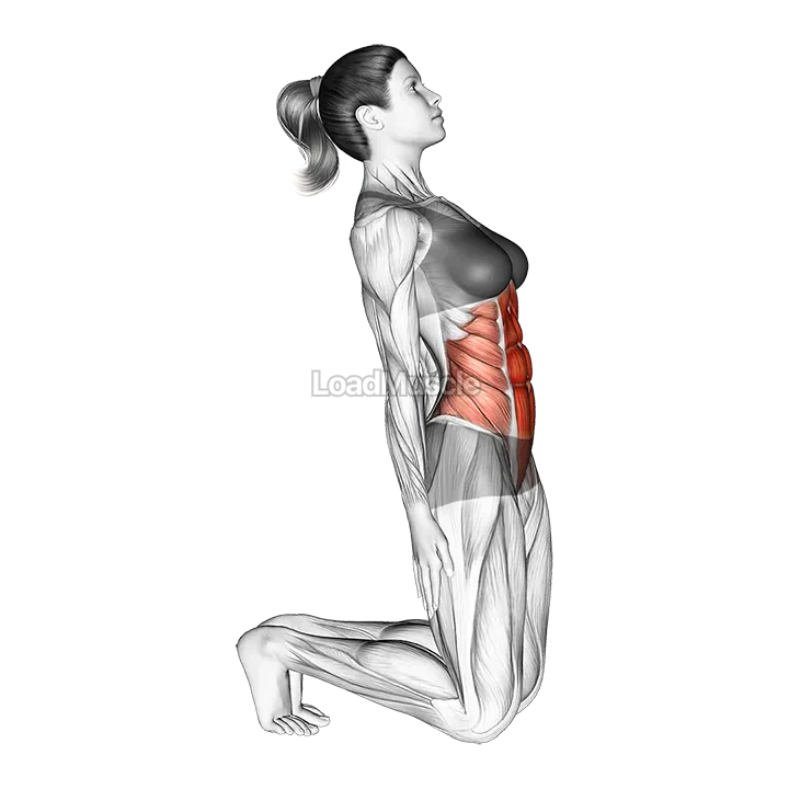 Kneeling Abdominal Stretch demonstration