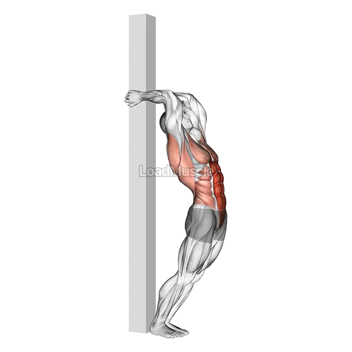 Hip Extension Supported From Back demonstration