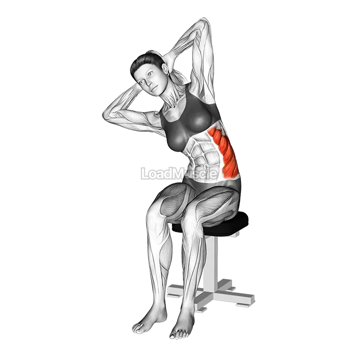 Seated Lower Trunk Lateral Flexor Stretch demonstration