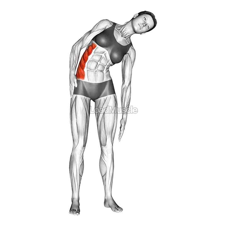 Standing Lateral Side Stretch demonstration
