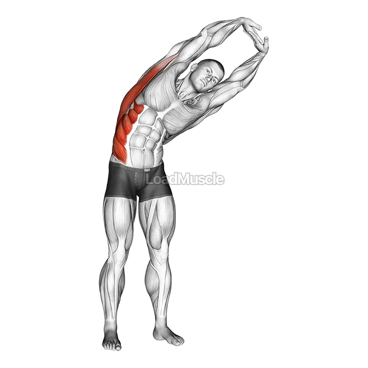 Standing Side Stretch demonstration