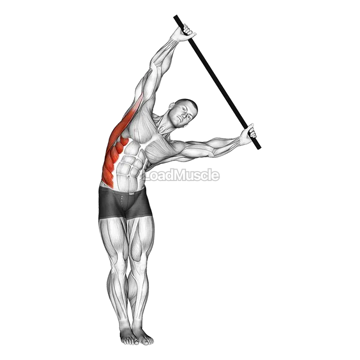 Standing Side Stretch With Stick demonstration