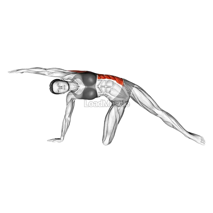 Lateral Bend On Floor By Kneeing demonstration