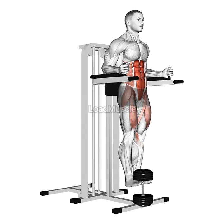 Weighted Captains chair leg raise demonstration