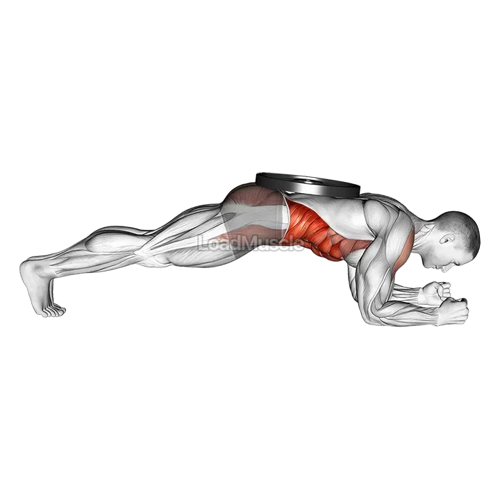 Weighted Front Plank demonstration