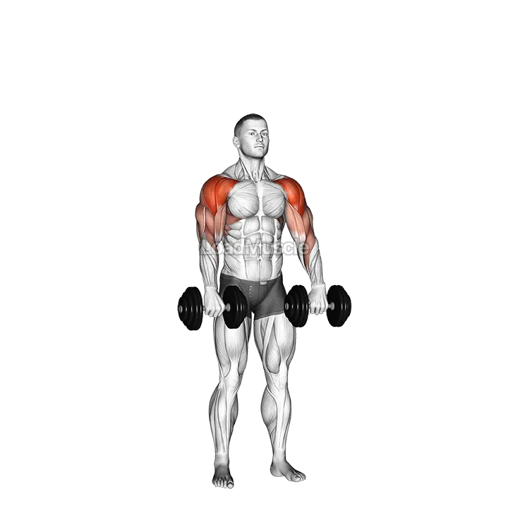 Dumbbell Cuban Press demonstration