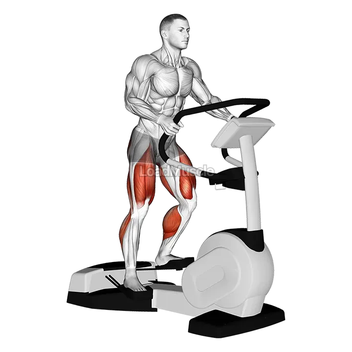 Walk Wave Machine demonstration