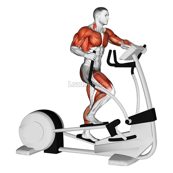 Walk Elliptical Cross Trainer demonstration