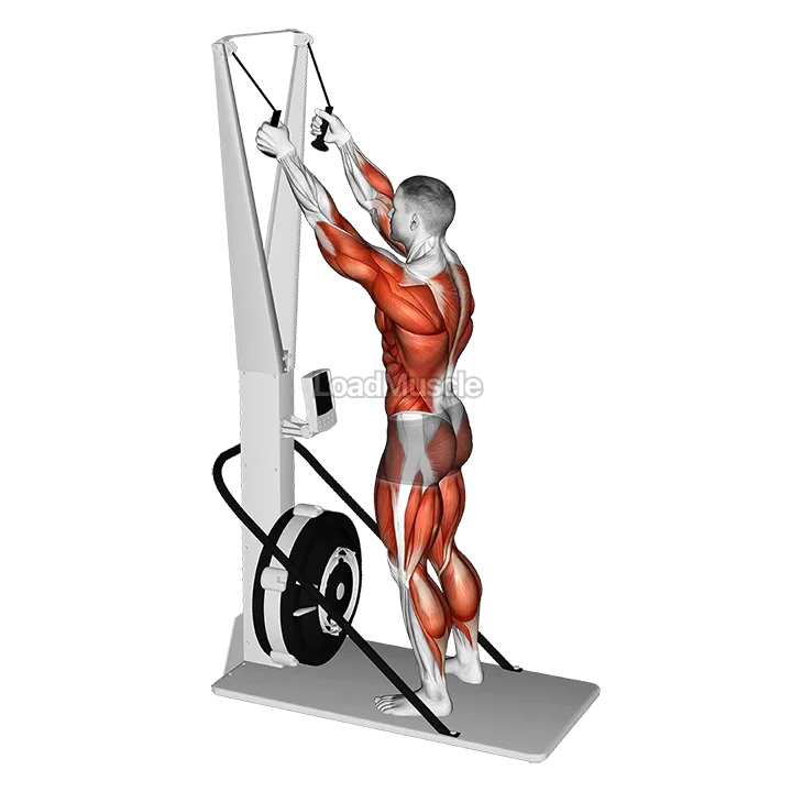 Ski Ergometer demonstration