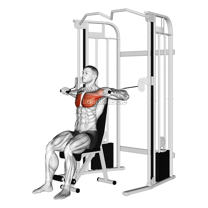 Cable Seated Chest Press demonstration