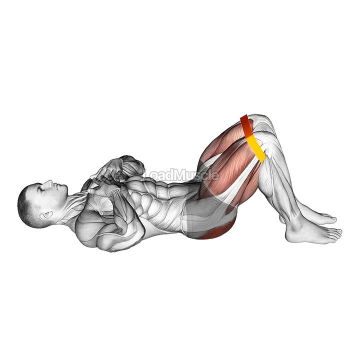 Resistance Band Glute Bridge demonstration