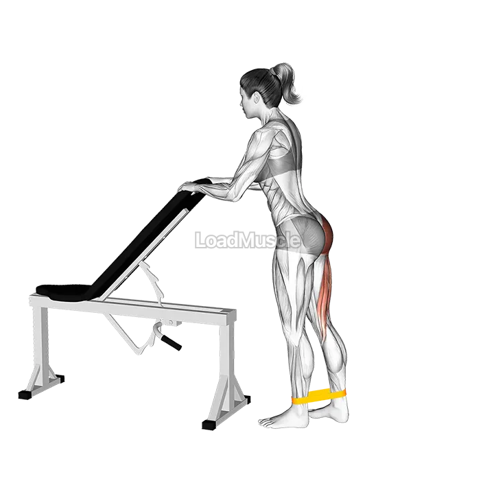 Resistance Band One Leg Kickback demonstration