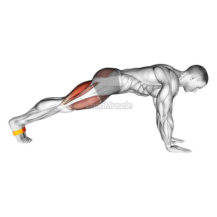 Resistance Band Plank March demonstration
